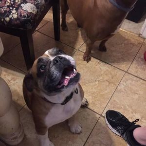 Meet your Posher, Peggy